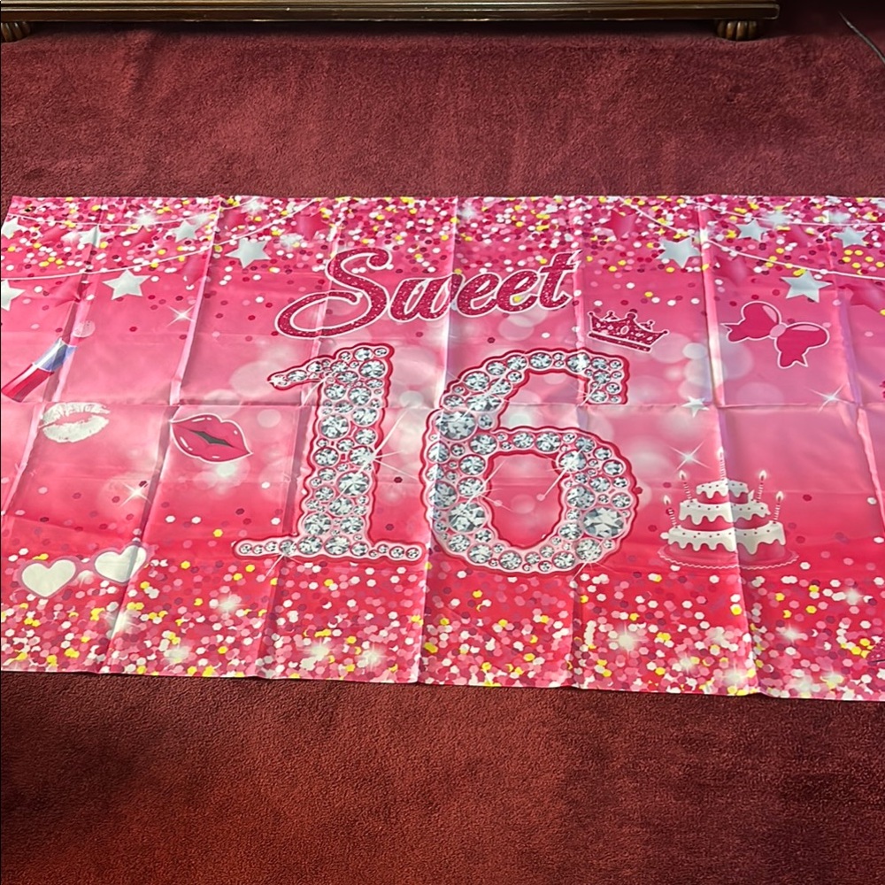 Sweet 16 Pink Party Backdrop